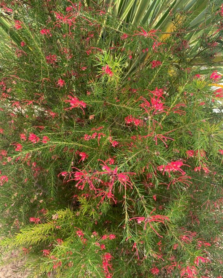Ecole De Mathuna De Marigny Brizay ภายนอก รูปภาพ