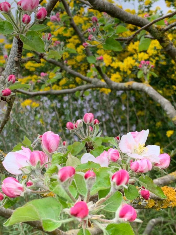 Ecole De Mathuna De Marigny Brizay ภายนอก รูปภาพ